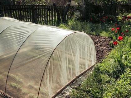 Парник на даче своими руками