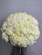 Снежная королева