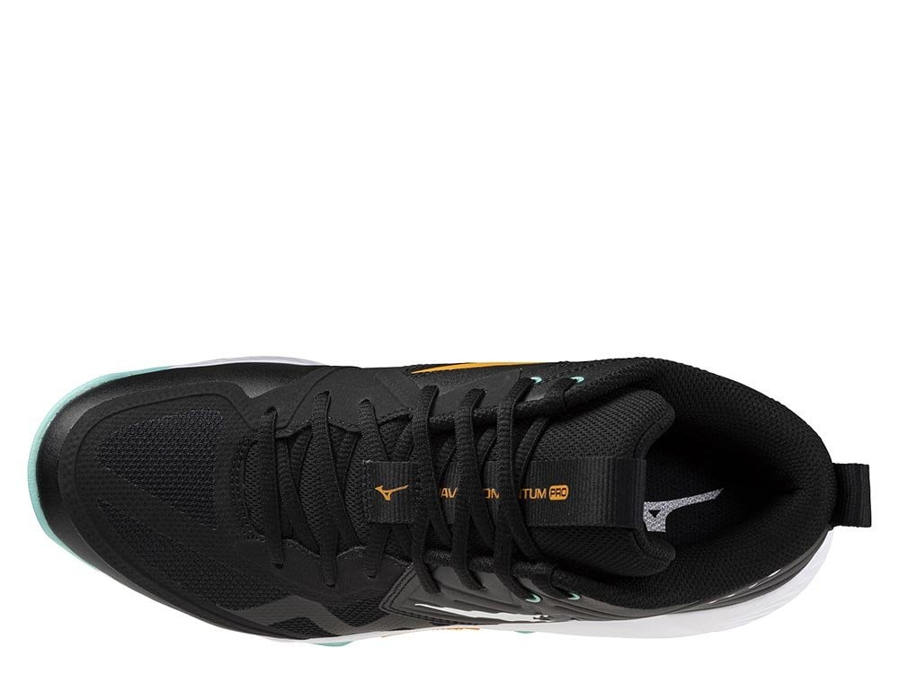 Волейбольные кроссовки Mizuno Wave Momentum Pro Mid