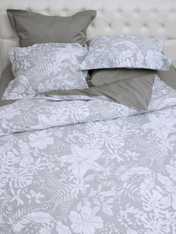 Постельное белье СайлиД B-239 сатин