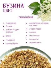 Бузина цвет