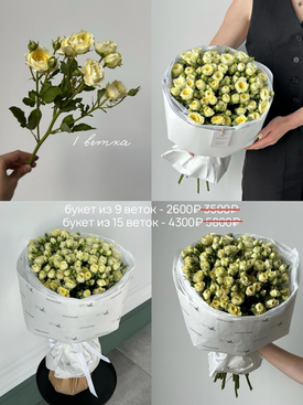 кустовые розы от 200р