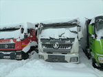 Shacman (Shaanxi) SX* 8x4 Самосвал SX33186V366 (Дизельный, 11,6 л, 423 л.с., МТ)
