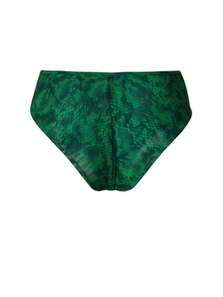 Плавки TROPICANA Python