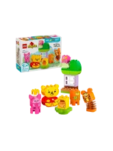 Конструктор DUPLO 10457 День рождения Винни-Пуха