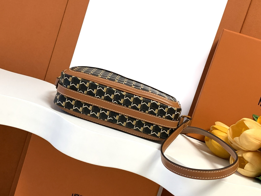 Moynat Camera Bag 22 cm