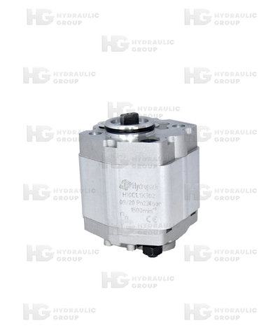 Шестеренный насос 10C1.10X302