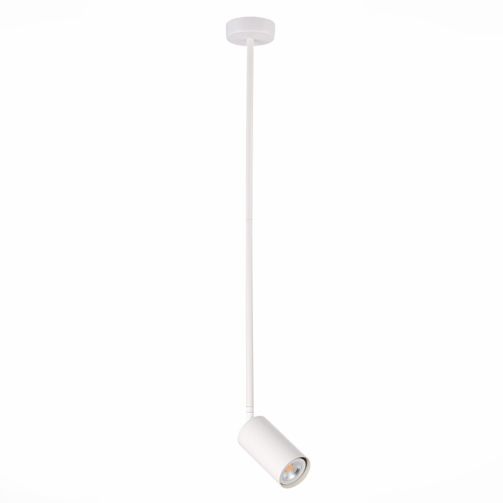 Светильник на штанге ST-Luce SL1206.503.01