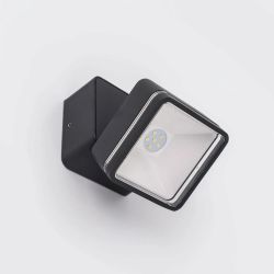 Citilux GARDA CLU0008K LED Уличный светильник поворотный Графит