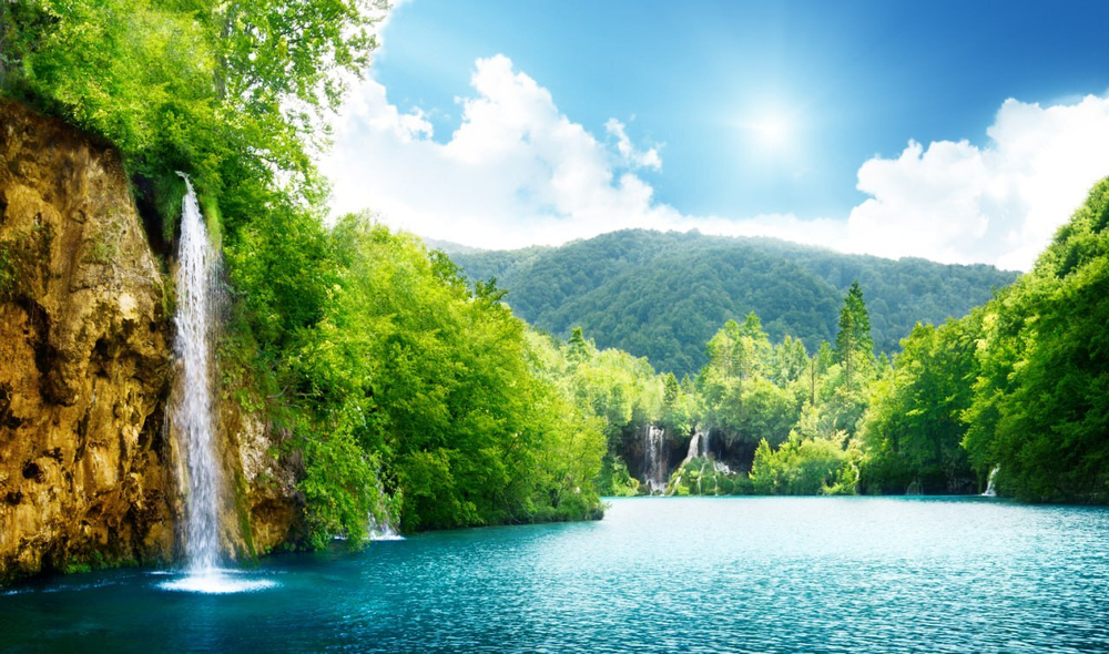 Природа 2 №36 Фотообои и Фрески ручной работы