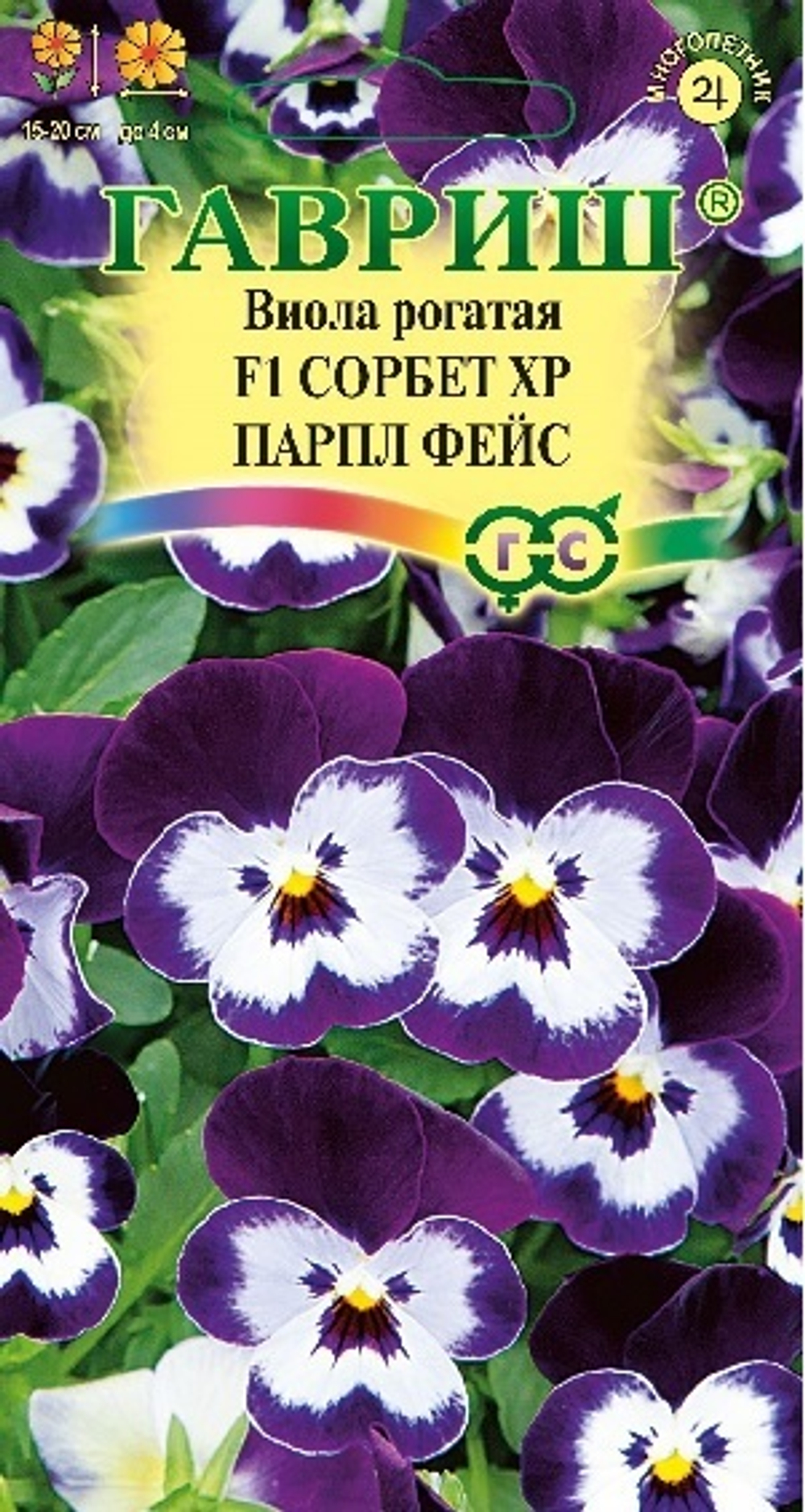Виола Сорбет Парпл Фейс рогатая (Анютины глазки) 4шт Ц Гавриш
