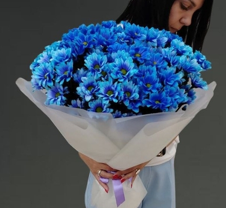 Синие хризантемы