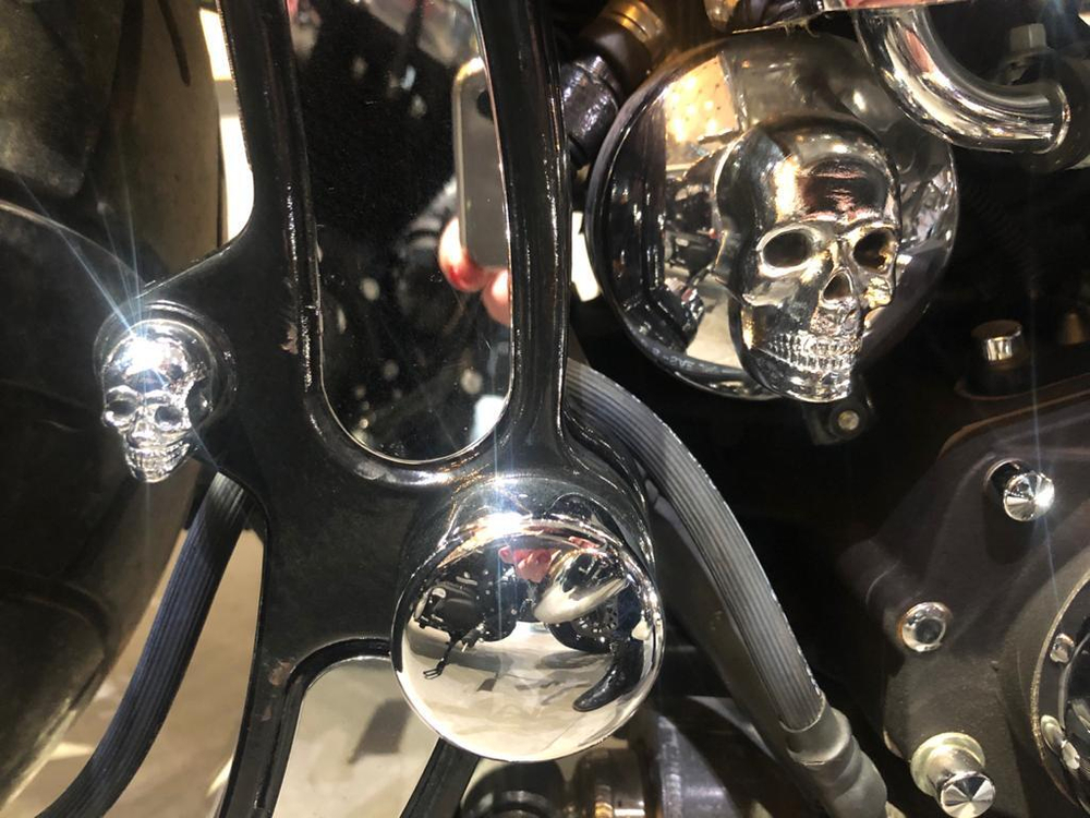 Harley-Davidson, Softail Springer (Custom)