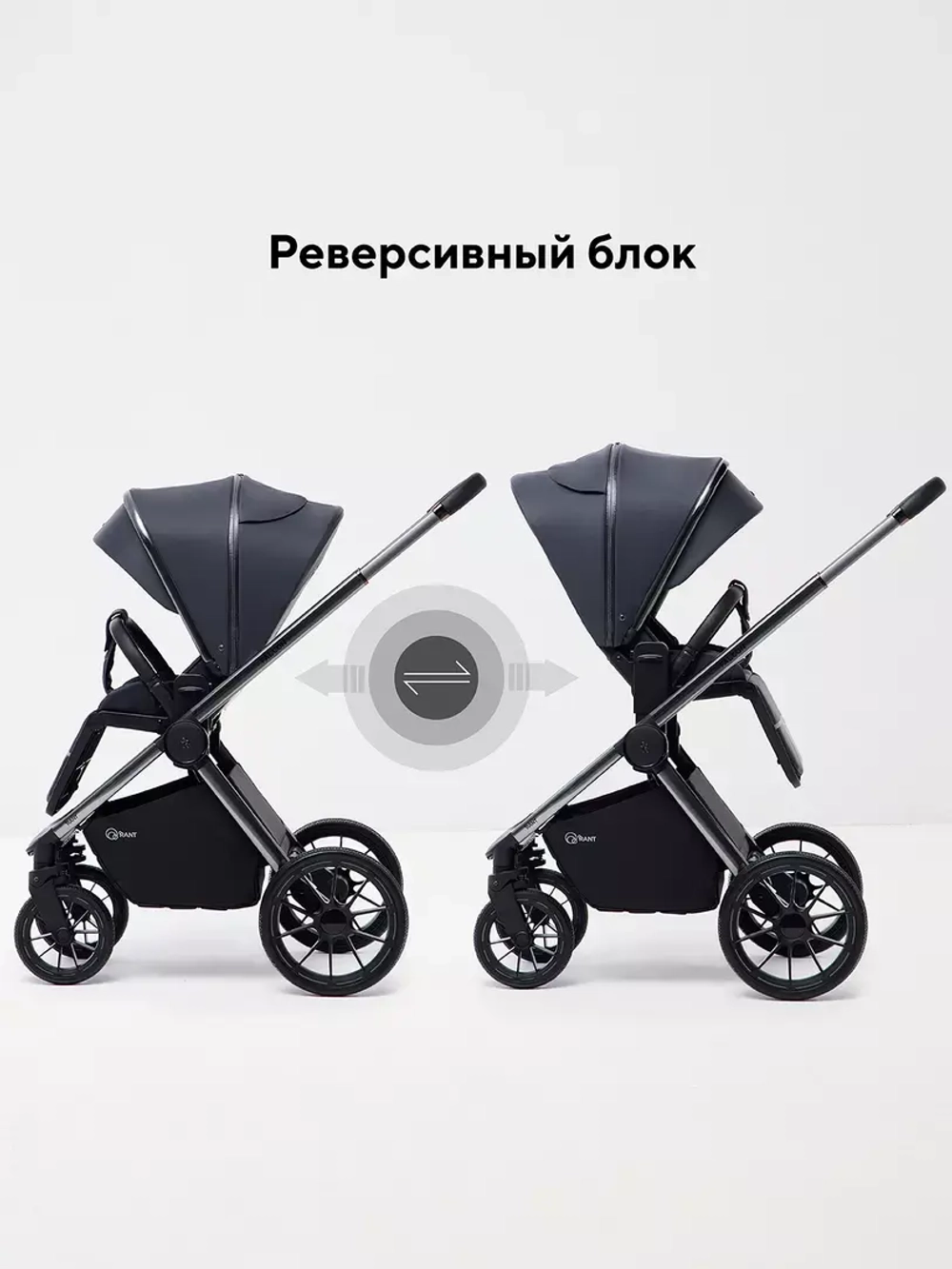 Коляска 2 в 1 Rant Falcon Therm