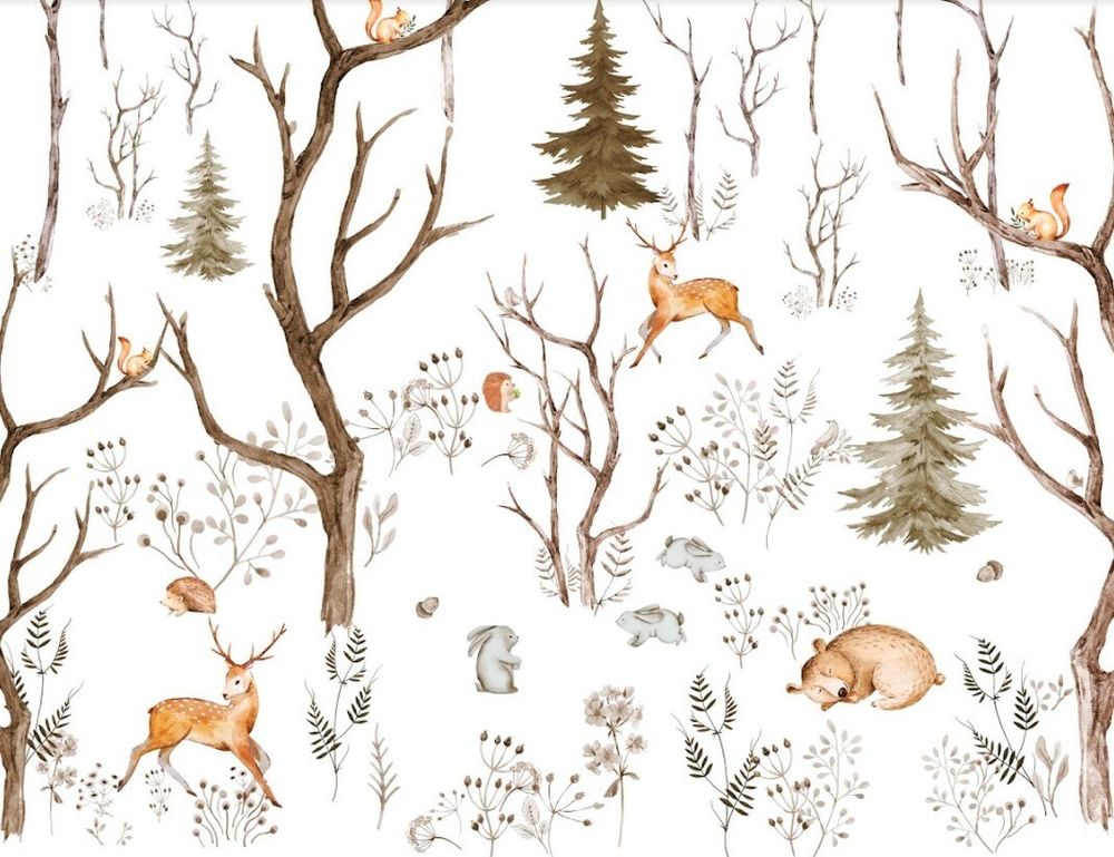 Фотообои белый лес Д 6