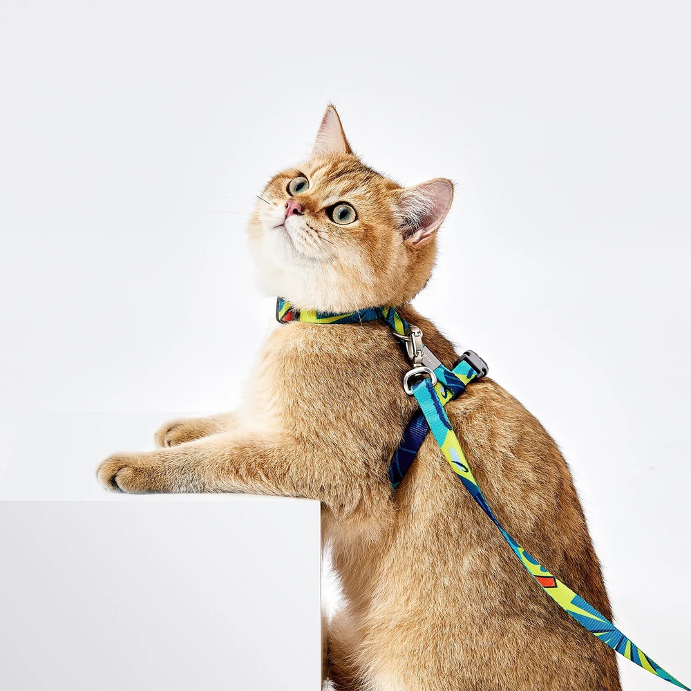 Шлейка для кошек с поводком PETKIT