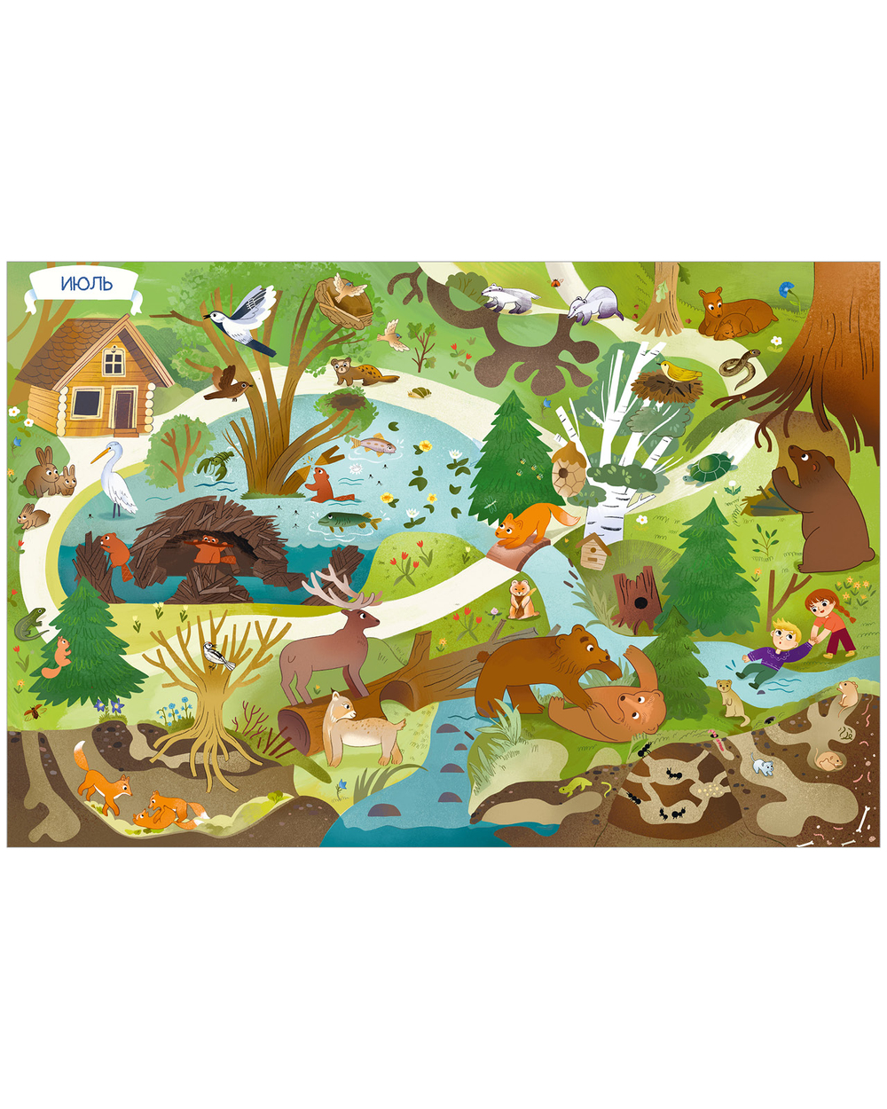 Виммельбух. Круглый год. Год в лесу