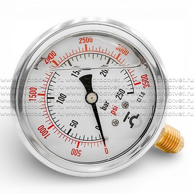 YN-63-1-25-1/4 - Манометр вибростойкий, радиальное подключение, G1/4 наружная вниз, D63 мм, нержавеющая сталь, 0-25 МПа, заполнен глицерином