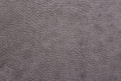 Микровелюр Phlox (Флокс) 04