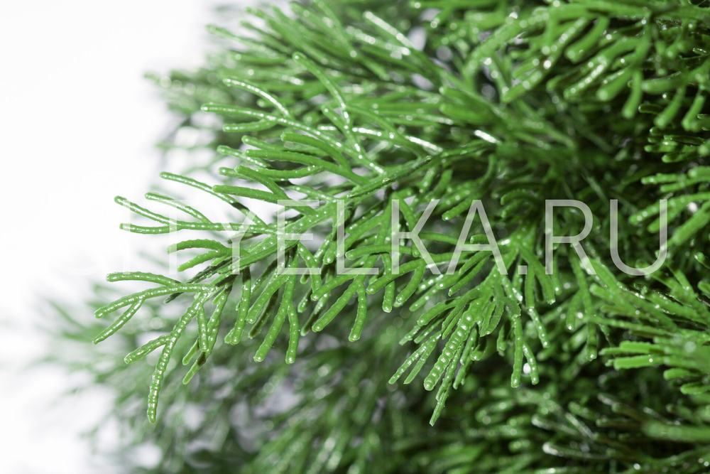 Туя шар на ножке