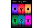 Осветитель светодиодный Raylab RL-40RGB-DR 2500K-6500K 3400mAh c рефлектором и диффузором