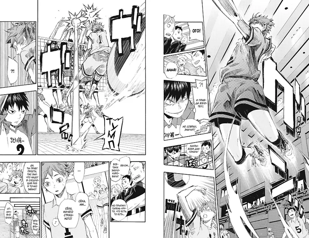 Волейбол! Книга 1. Хината и Кагэяма. Вид с высоты