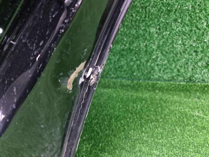 Дверь задняя правая Infiniti QX80 Z62 (2010-2024)