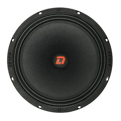 DL Audio Raven 250 V.2 | Эстрадная акустика 25см. (10")