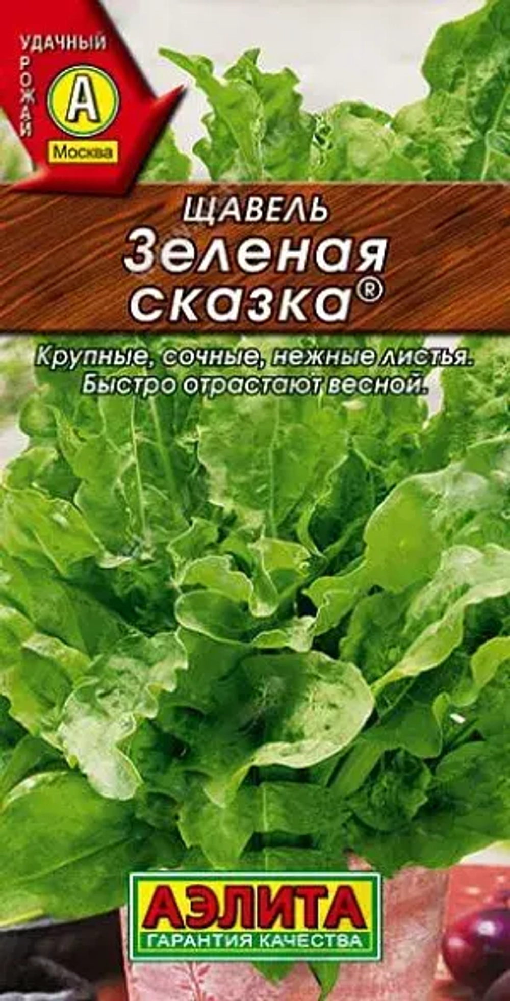 ЩАВЕЛЬ