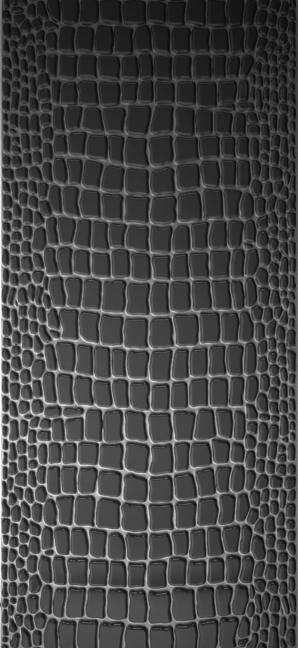 ALLIGATOR BY VITALI BREL