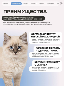 Корм сухой для котят породы Невская маскарадная, с лососем, 2 кг, QUATTRO