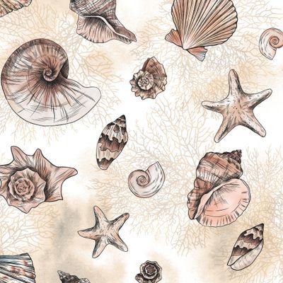 Морские ракушки