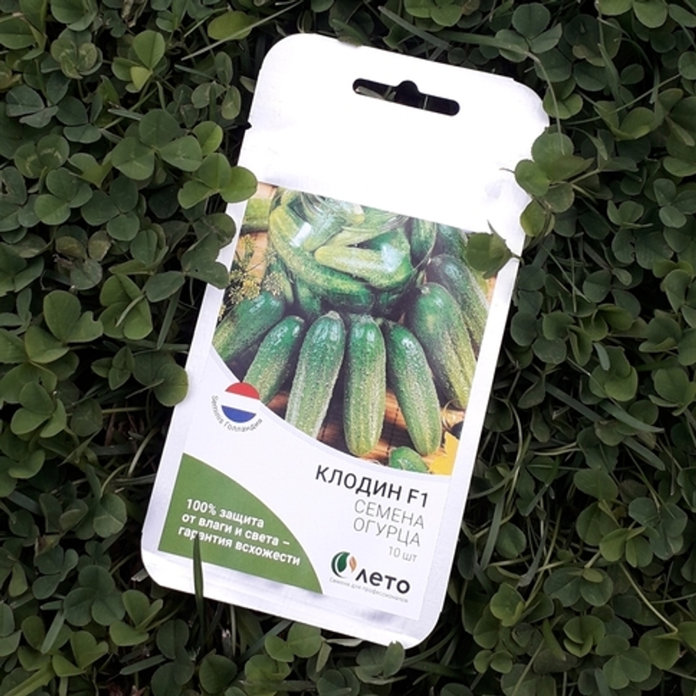 Cемена огурца Клодин F1, Seminis, 7 шт.