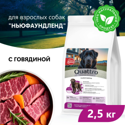 Корм сухой для взрослых собак породы Ньюфаундленд, премиум полнорационный комплекс, с говядиной, 2,5 кг, QUATTRO