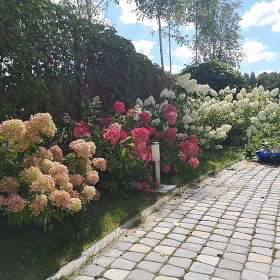 Одноэтажный дом 140 кв.м. на участке 16,5 соток