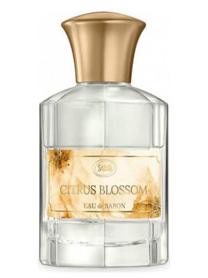 Sabon Citrus Blossom