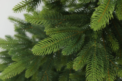 TAIGA 100%PU Ель искусственная Тайга литая 100% 250 см