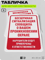 Табличка для частной территории "Бесшумная сигнализация сообщила о вашем проникновении охране", на дом, для участка, организаций и частных территорий, 40х30 см, Silver Plane x Айдентика Технолоджи