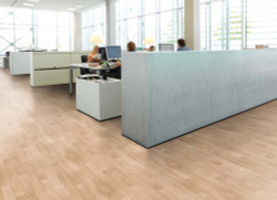 Линолеум коммерческий Profi Premium Falco 2, 2,5х22м (рулон)