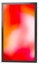 Киоск информационный уличный Lumien LOSK4302FHD