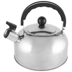 Чайник Casual, объем 2 л, из нерж стали со свистком, зеркальная полировка