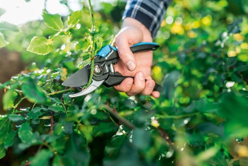 Секатор CELLFAST ERGOLINE плоскостной