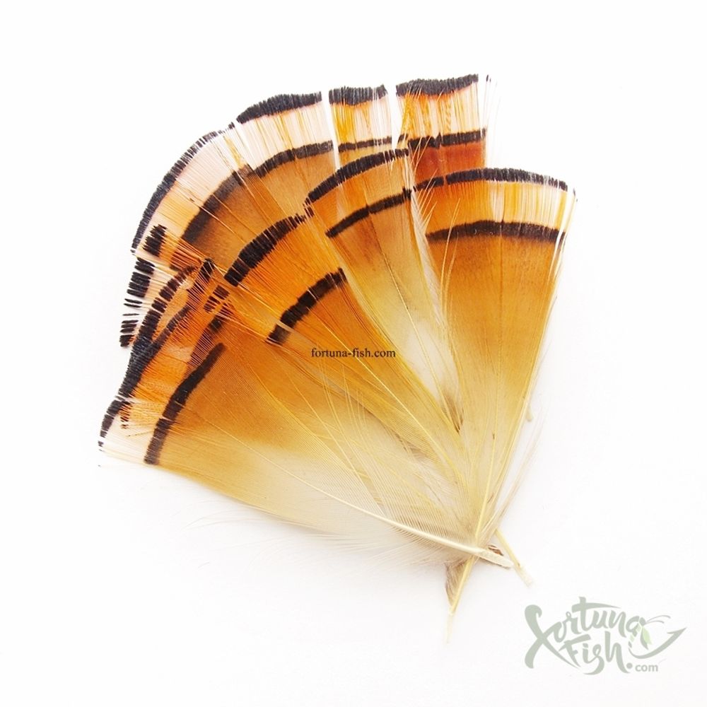 Шейные перья золотого фазана Golden Pheasant Tippets (12 шт)