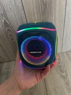 Портативная колонка Party 220 mini