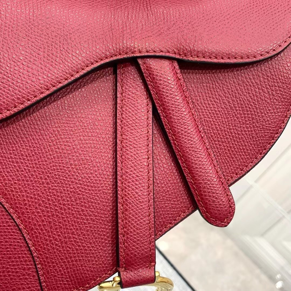 Christian Dior Saddle Bag 21 cm