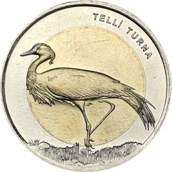 Журавль-Красавка