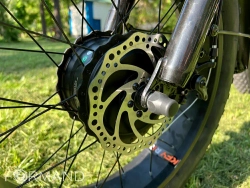 Электрический трицикл фэтбайк GreenCamel Трайк-F20 (500W 12Ah), Черный
