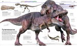 Knowledge Encyclopedia: Dinosaur! (Ned) Hardcover
