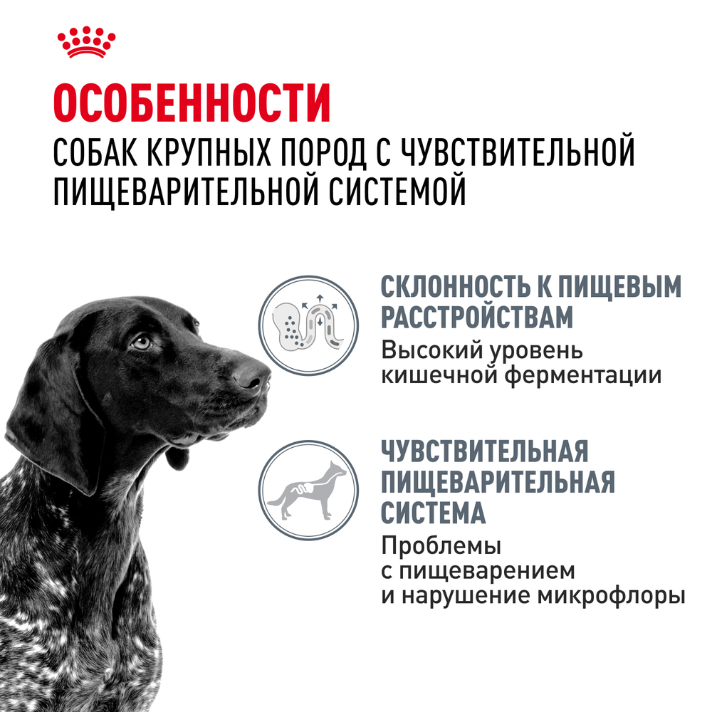 Royal Canin Maxi Digestive Care Макси Дайджестив кэа Корм сухой для взрослых собак больших размеров с чувствительным пищеварением 12кг