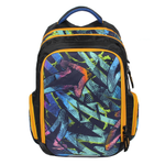 Рюкзак школьный Тайлер "Граффити" 30*44*14 см. 2 отд., 1 карман, боковые карманы на молнии (Luris)